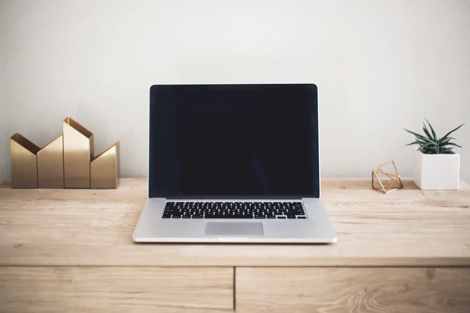 Open laptop on a wooden desk beside a small plant